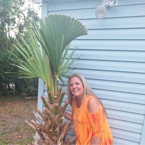 Soft Surroundings Orange Women's Jersey Top